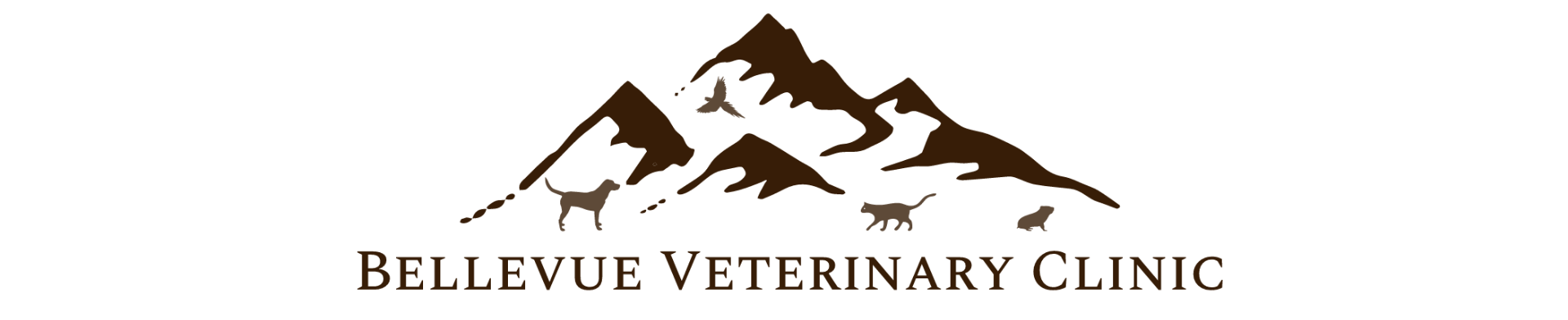 Bellevue Veterinary Clinic